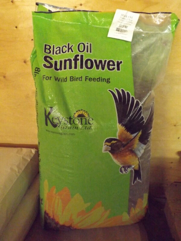 Black Oil Bird Seed